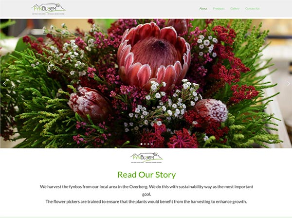 Website Design business fynbloem website