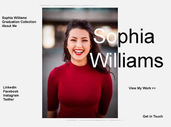 Website Design cv website