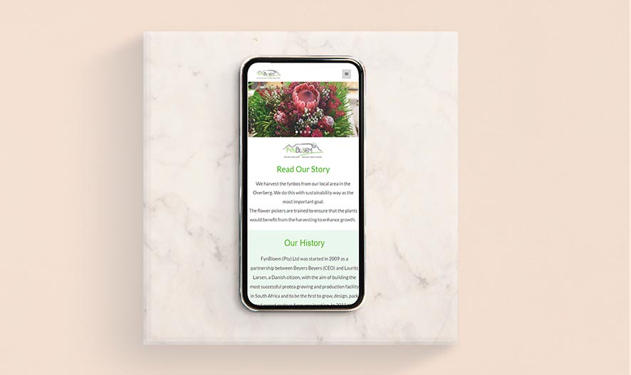 Our Services fynbloem website design
