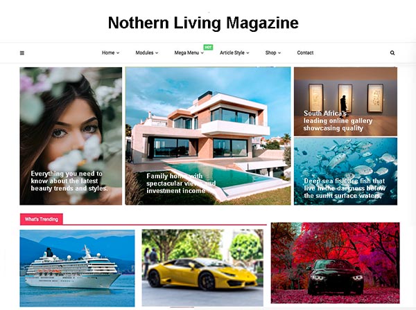 Magazine Website