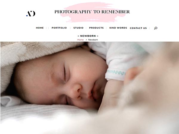 Website Design portfolio baby website