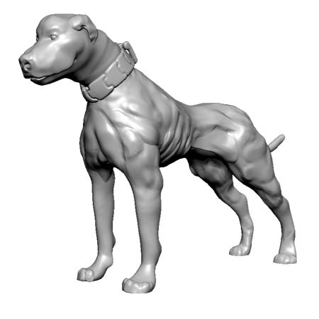 3d American bully perspective view