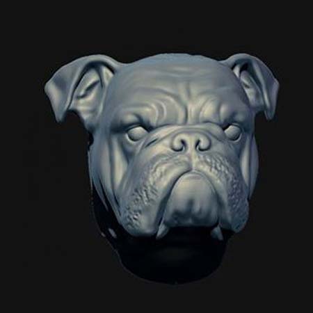 3d character dog