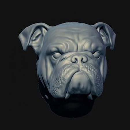 3d Designs & Printing 3d character dog