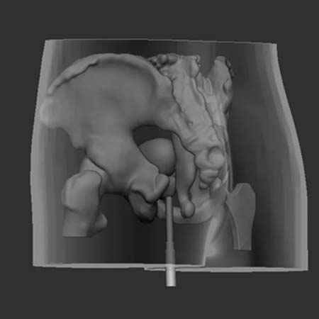 3d Designs & Printing 3d men gut and hip