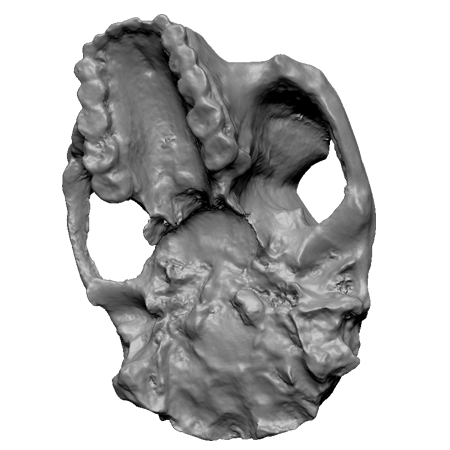 3d Designs & Printing 3d archeology paran botom