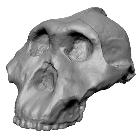 3d Designs & Printing 3d archeology paran